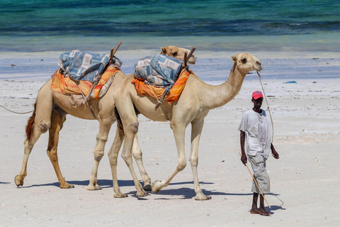 Watamu: Airport Transfer