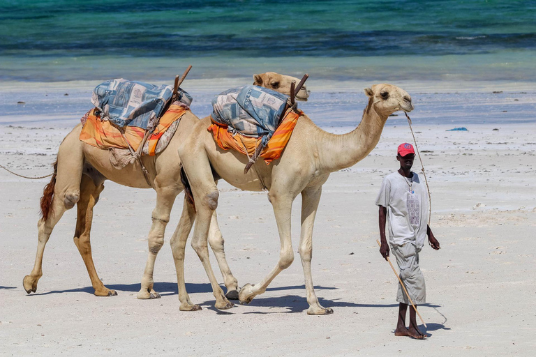 Watamu: Airport Transfer