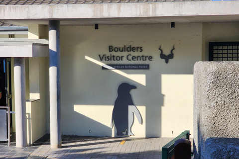 Cidade do Cabo:Nadar com os pinguins Boulders Beach cape point