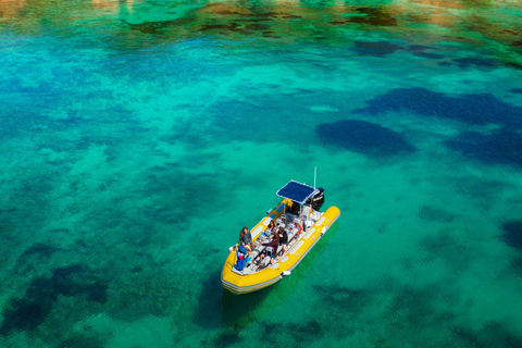 Depuis Can Picafort : Observation des dauphins et excursion en bateau dans les grottes