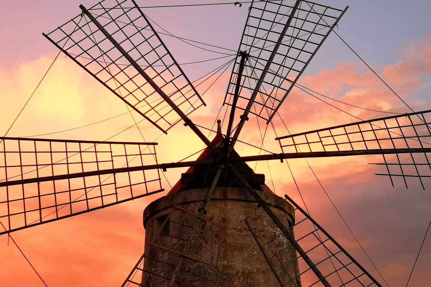 Saline di Trapani: 2h 30min Salt Tour