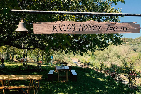 Katakolon: Olympia, Honey Farm & Kremasti Tour