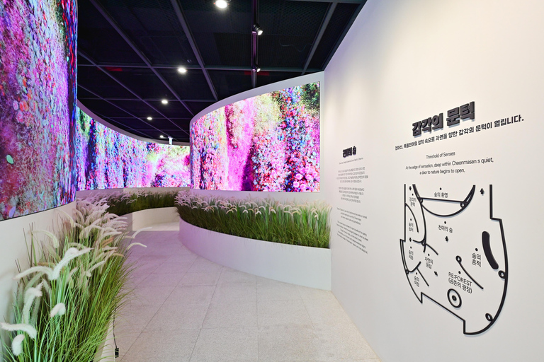 Busan Untold: War History, Hillside Villages & Songdo Cable Shared Group Tour, Depart from Busan Subway Station Exit 3