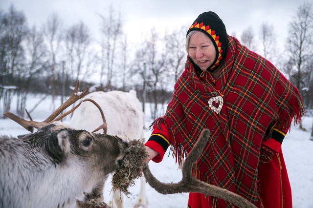 Visit Svolvær Sami Culture and Reindeer Trip with Fire and Stew in Svolvær, Lofoten, Norway