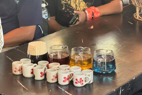 Chiang Mai: Doi Inthanon Pha Dok Siew Trek & Karen Culture