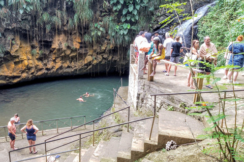 Shared Tour: Annandale Waterfall, Fort & Beach Escape