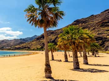 Puerto de la Cruz: VIP Getaway Tenerife Playa Teresitas, Science and Culture