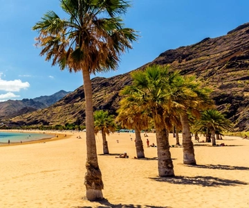 Puerto de la Cruz: VIP-udflugt til Tenerife Playa Teresitas, videnskab og kultur