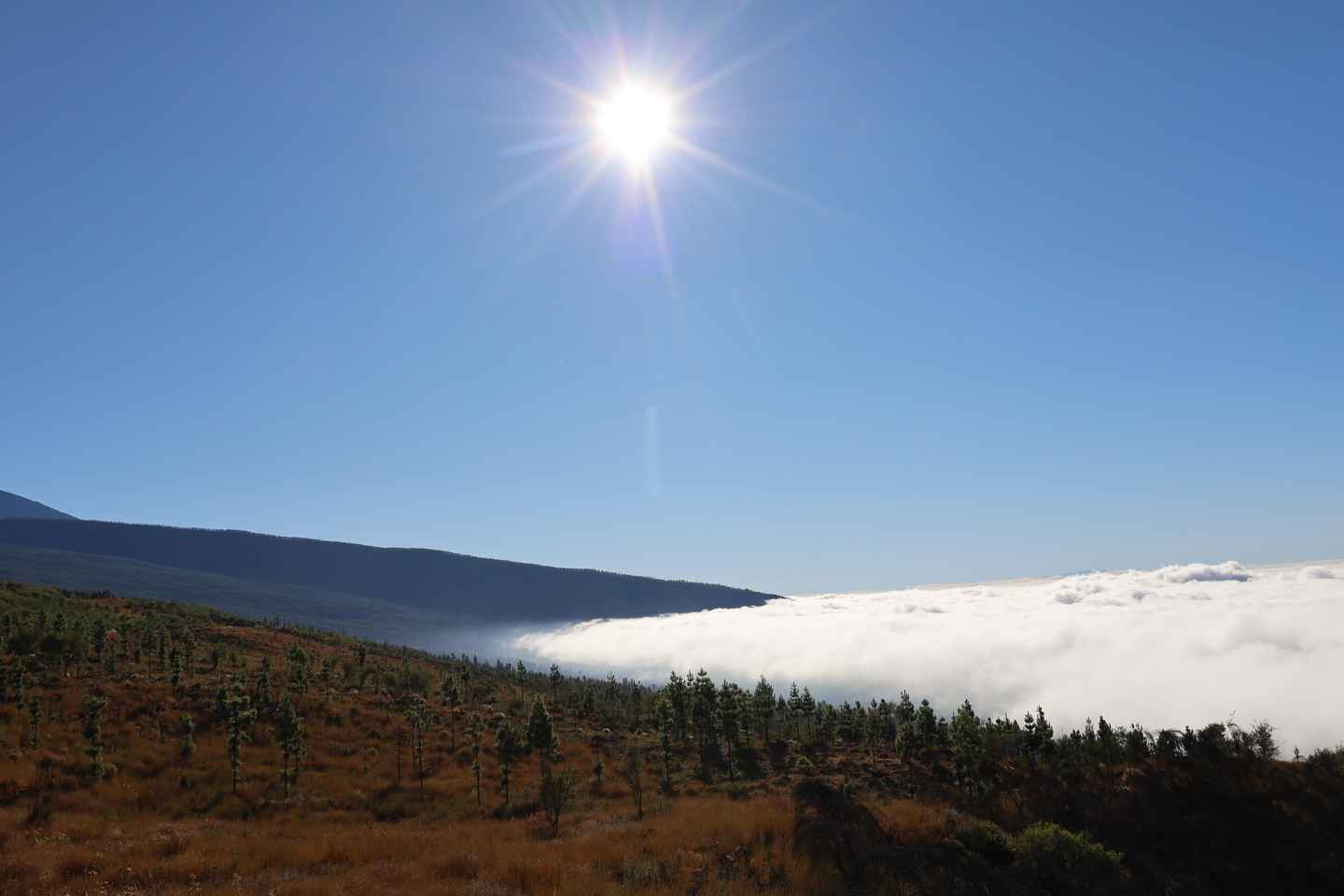 Puerto de la Cruz: Quad Teide National Park
