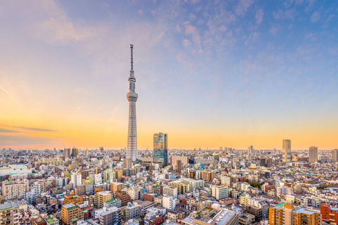 Tokyo: Discover The City Your Way Half-Day Private Sightseeing Ride in Tokyo