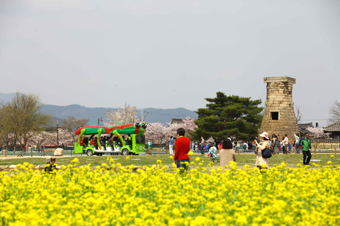 Busan: 7 Highlights Gyeongju City One Day Tour Gyeongju From Haeundae Ex.5