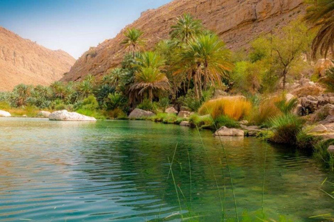 Muscat: Wadi Shab, Wahiba zand en Wadi Bani Khalid Tour
