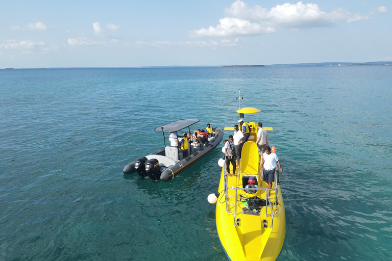 Zanzíbar:Excursión a la Granja de Especias,Experiencia submarina en el arrecife y la playaZanzíbar:Excursión a la Granja de Especias,Experiencia submarina en el arrecife y en l