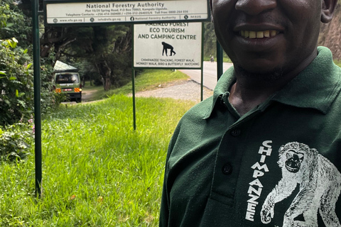 Lago Bunyonyi - Viagem de 1 dia para o trekking com chimpanzés na floresta de Kalinzu