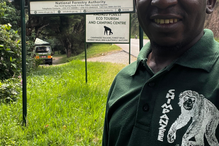 Excursion d&#039;une journée au lac Bunyonyi et dans la forêt de Kalinzu pour un trekking avec les chimpanzés