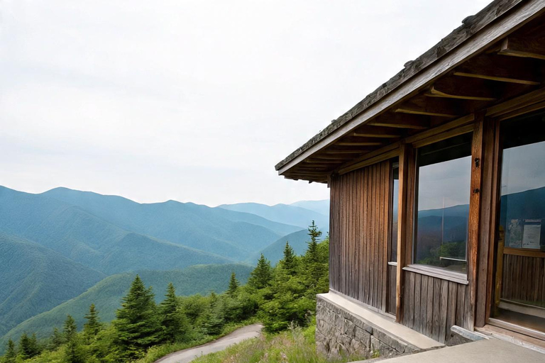 Kyoto Guided: Arashiyama View Park, Boat Ride, &amp; Train Tour