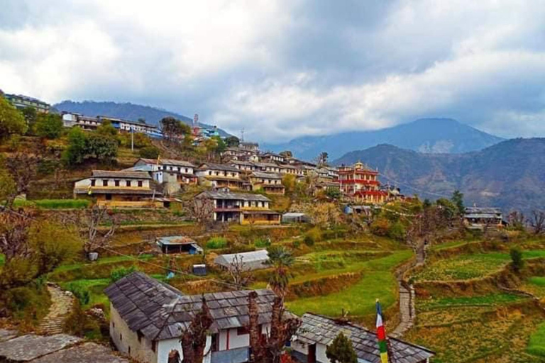 Pokhara : Trek de 3 jours à Astam, Dhampus et Australian CampPokhara : 3 jours de service