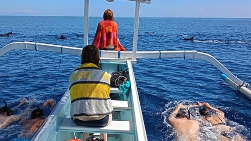 Lovina-Bali: Watching Dolphin & Waterfall Tour-All Inclusive | GetYourGuide