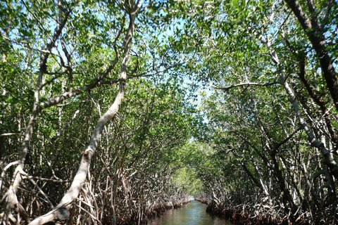 Snorkling och mangroveskog med lunch i Baru white beach Cartagena