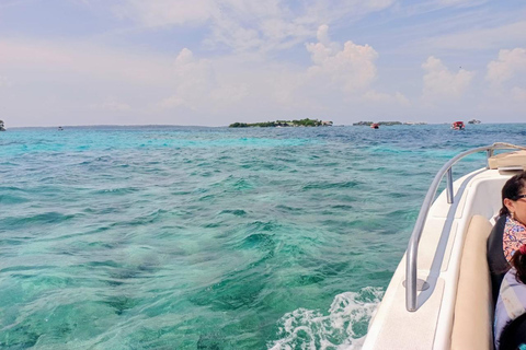 Cartagena: VIP-tour naar de 5 Rosario-eilanden met planktonplanCartagena: VIP-tour naar de 5 Rosario-eilanden met Plankton Plan