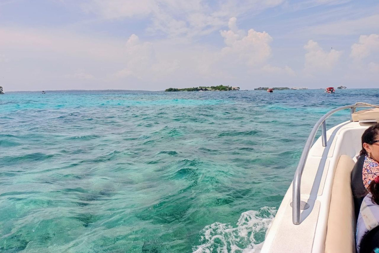 Cartagena: VIP-tour naar de 5 Rosario-eilanden met planktonplanCartagena: VIP-tour naar de 5 Rosario-eilanden met Plankton Plan