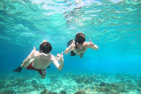 Gili Trawangan Group/Public Snorkeling 3 Wyspa Gili