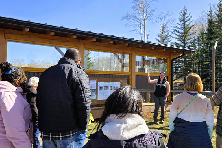 Z Calgary do Banff: wycieczka 1-dniowa z wizytą w schronisku dla psów wilczastychZ Calgary do Banff: wycieczka 1-dniowa z wizytą w rezerwacie wilków