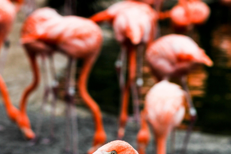 Sri Lanka: 6-Day Photography Tour with Hotel & Guide