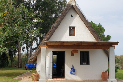 The Magic of the Albufera: Private Tour with Traditional Boat Ride