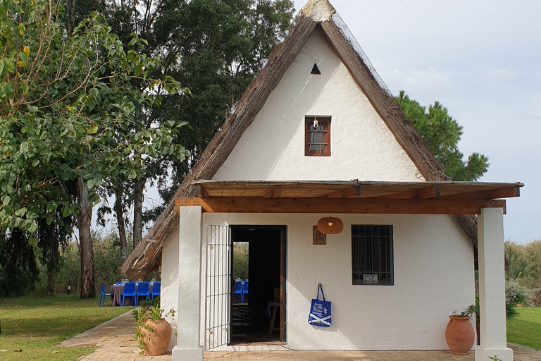 The Magic of the Albufera: Private Tour with Traditional Boat Ride