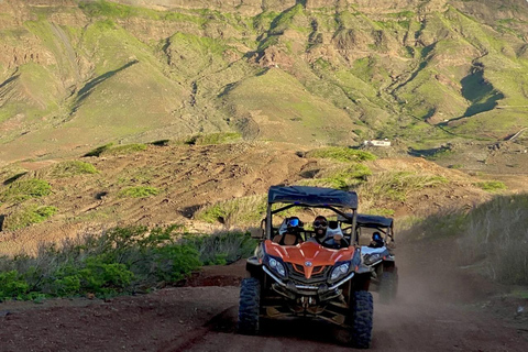 São Vicente: Full-Day Guided Tour with Lunch São Vicente: Full-Day Guided Tour with Lunch