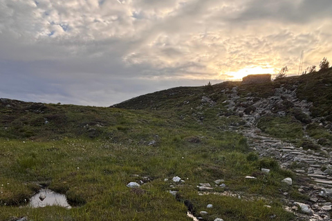 Ålesund: Skjonghelleren Cave & Signalen Summit Hike