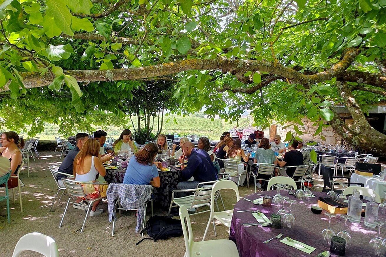 Half Day Douro Valley Tour with Cruise and Winery Lunch