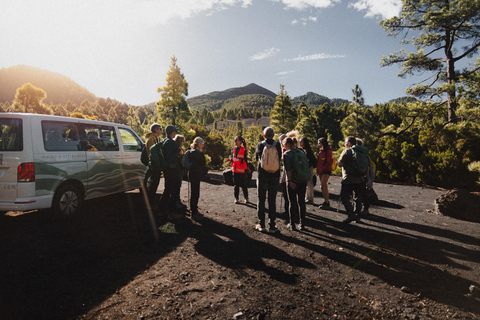 Tajogaite Volcano, the Essential Route: 3-Mile (5-Kilometer) Short Version