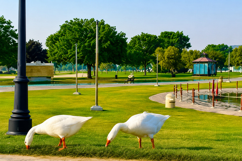 Doha: Guided City Tour with Hotel Pickup and Drop-Off