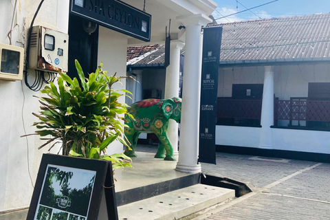 Galle Fort, Mask Museum, and Turtle Hatchery Day Trip