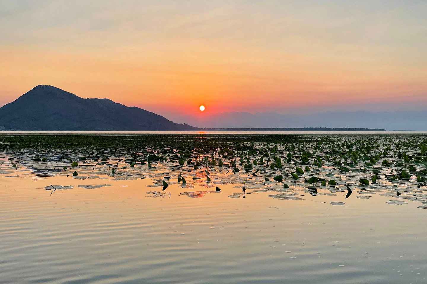 Lake Skadar Sunrise Private Tour With Guide
