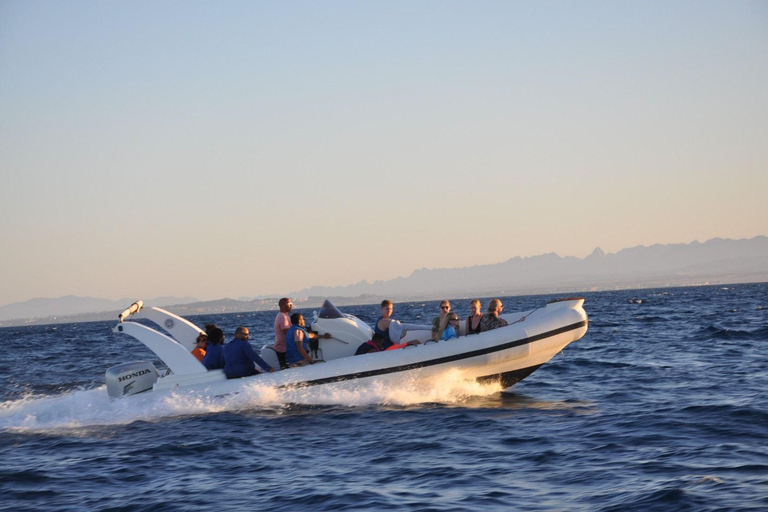 Hurghada: Dolphin House Speedboat Trip & Swim with Dolphins Group Dolphin Watching, Swimming and Snorkeling with Fruits