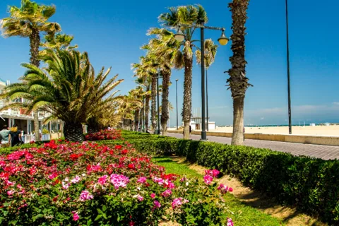 Best of Valencia: Highlights with Private Transport and Top