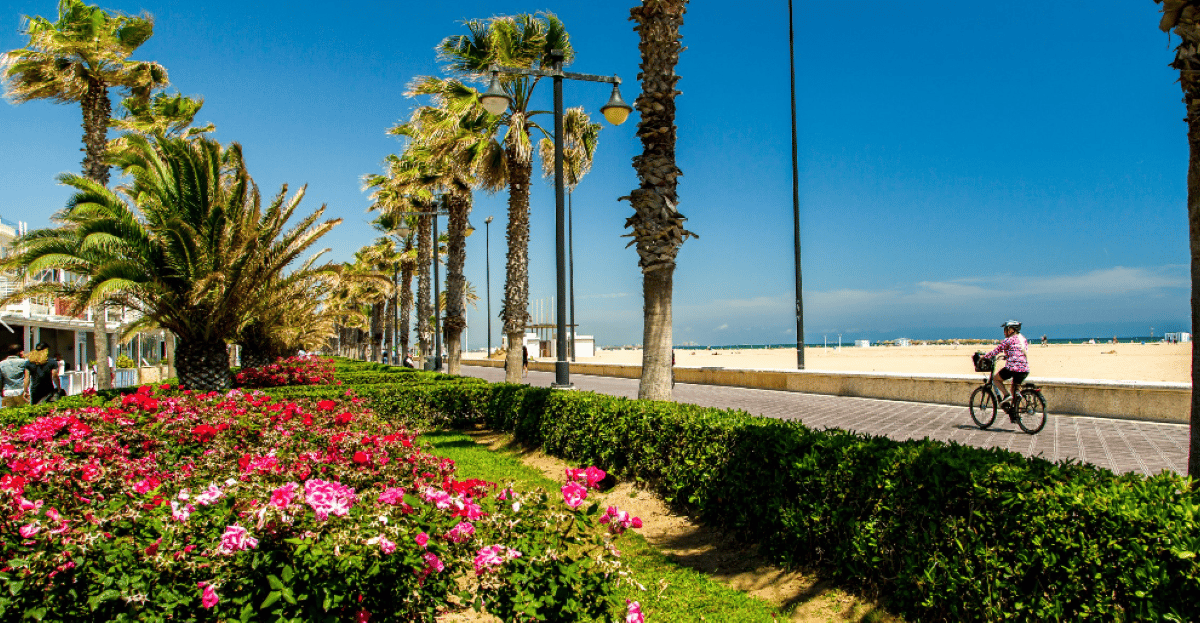 Das Beste von Valencia Highlights mit privatem Transport und Top