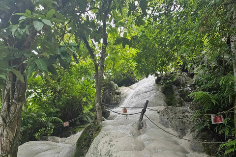 Chiangmai : Cascada pegajosa &amp; Tierra de ángeles &amp; Wat ban den.