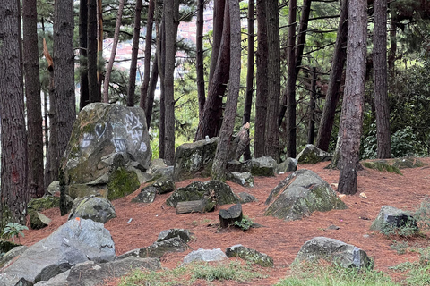 Medellin: Paths to Cerro El Picacho Hiking Tour with Picnic