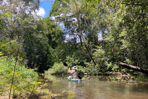 Tefe: 6-Day Kayak Expedition with Camping & Meals