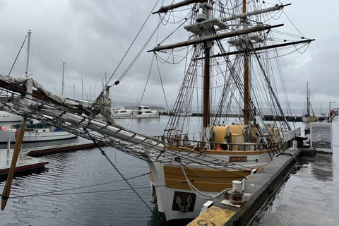 Experiência de descoberta em Hobart