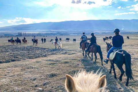 2-hour horse riding tour at Palomino Ranch