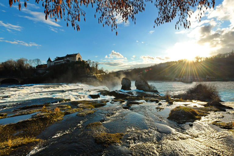 From Zurich: Chocolate & Cheese Factory, the Rhine Falls From Zurich: Rhine Falls, Chocolarium, and Appenzeller …