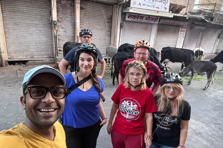 Udaipur: Private City Tour with Multilingual Guide