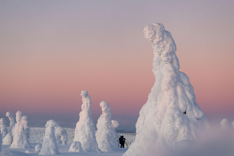 Rovaniemi: Riisitunturi Snow Monsters Tour & Campfire BBQ