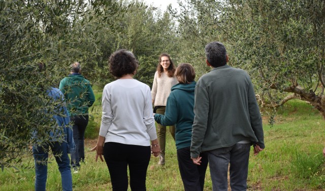 Visit Messenia Olive oil experience-Basic Tour and Tasting in Chora, Greece