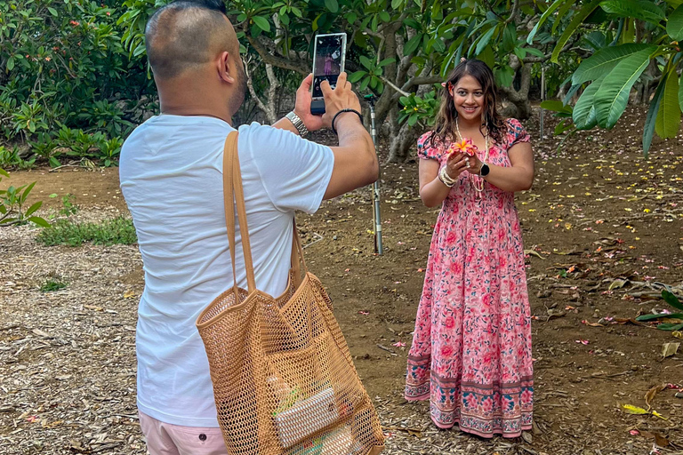 From Waikiki: Best of Oahu Photo Tour with Pickup